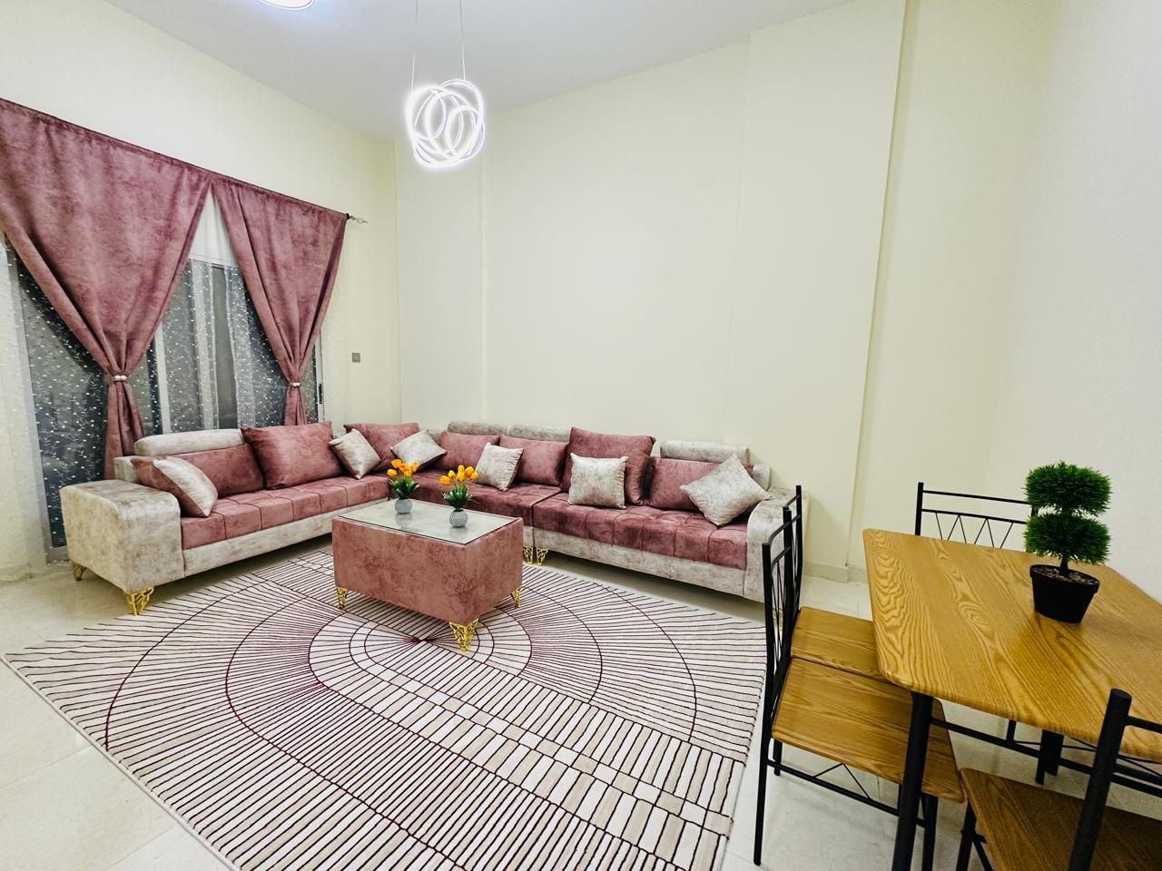 1BR Apartment No. 207 — Furnished